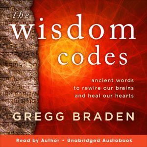 The Wisdom Codes audiobook cover